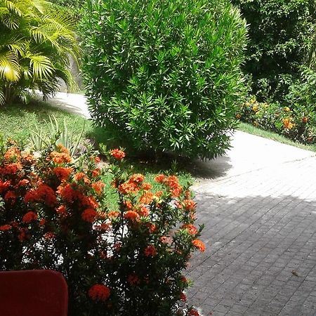 Bungalow Le Manikou Le Robert Dış mekan fotoğraf